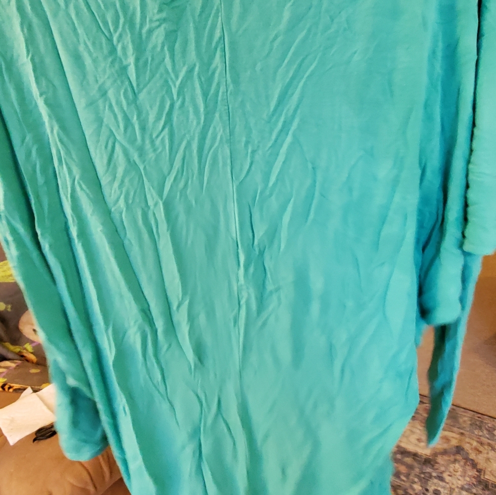 Aqua balloon sleeve top